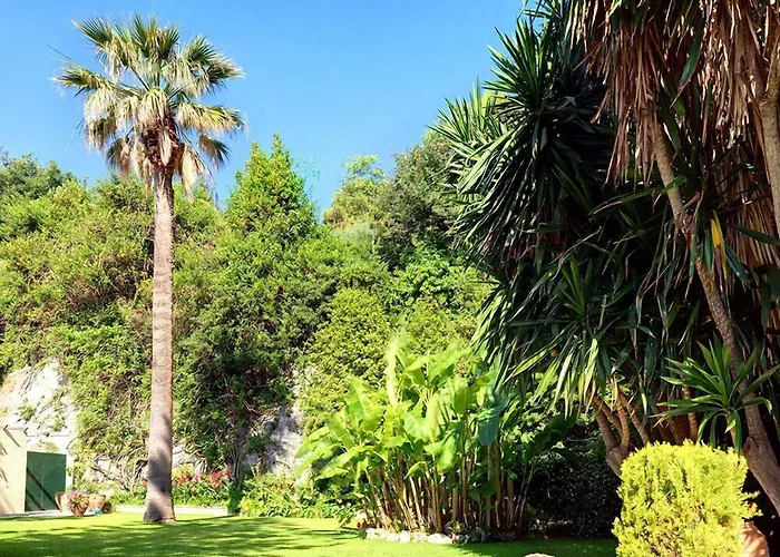 Отель Corfu Palace 5*